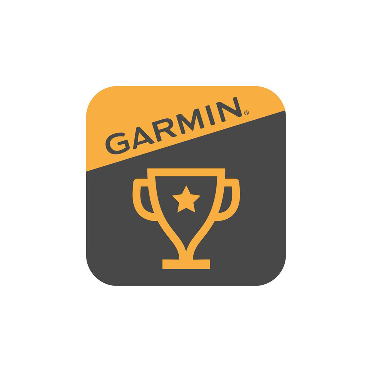 Garmin Jr.™ App
