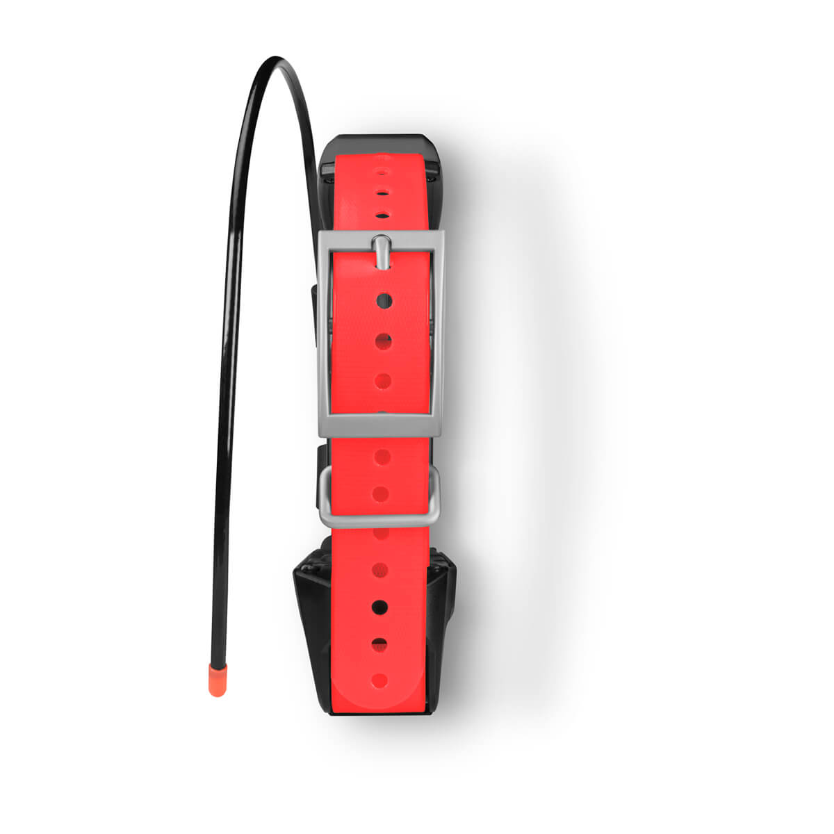 TT™ 15X Dog Collar - Image 3