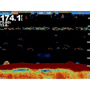 GSD™ 24 Advanced Sonar Module - Image 4