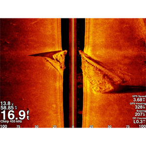 GSD™ 25 Premium Sonar Module - Image 2