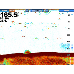 GSD™ 24 Advanced Sonar Module - Image 12